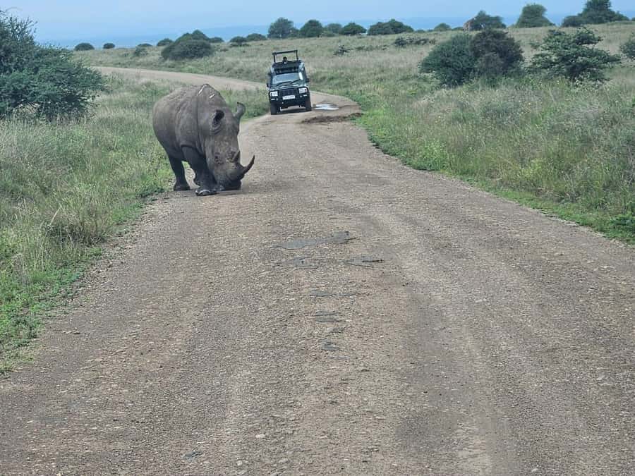 Nairobi: National Park, Elephant Orphanage & Giraffe Center - What the price really means