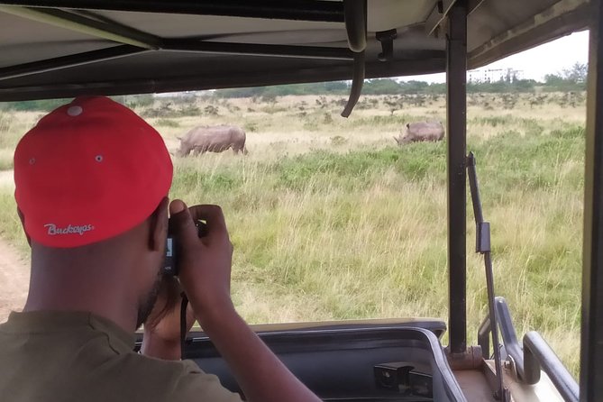 Nairobi National Park Half-Day Tour; Free Wi-Fi connection - Why Nairobi National Park makes sense for a short stay