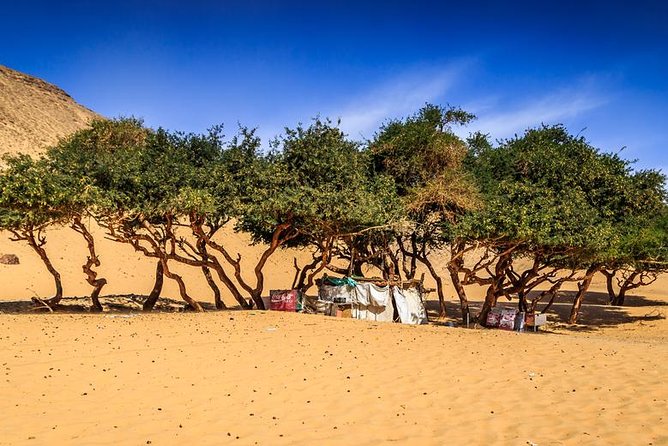 Nubian Village by Motorboat In Aswan - Who will get the most from this Aswan tour?