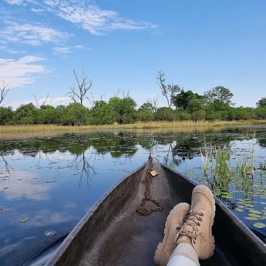 Okavango Delta: Full-Day Mokoro/Canoe Tour All-Inclusive - Settling Into a One-Tree Mokoro