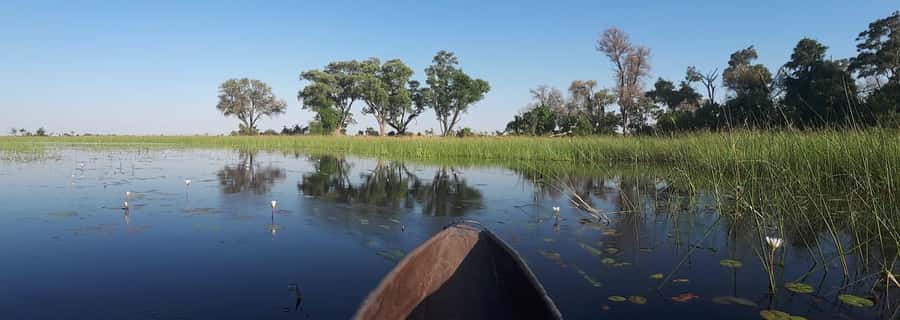 Okavango Delta: Full-Day Mokoro/Canoe Tour All-Inclusive - Walking an Okavango Island