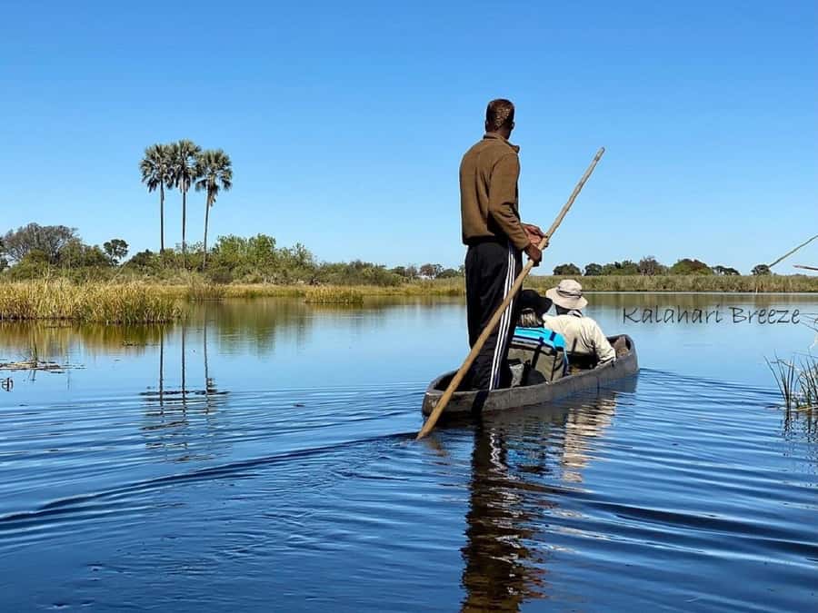 Okavango Delta: Full-Day Mokoro/Canoe Tour All-Inclusive - From Maun to the Delta by Jeep