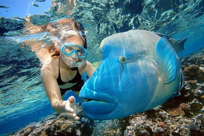 Orange Bay Island Snorkeling Trip With Water Sports - Hurghada - Orange Bay: pretty, easy, and more commercial than remote