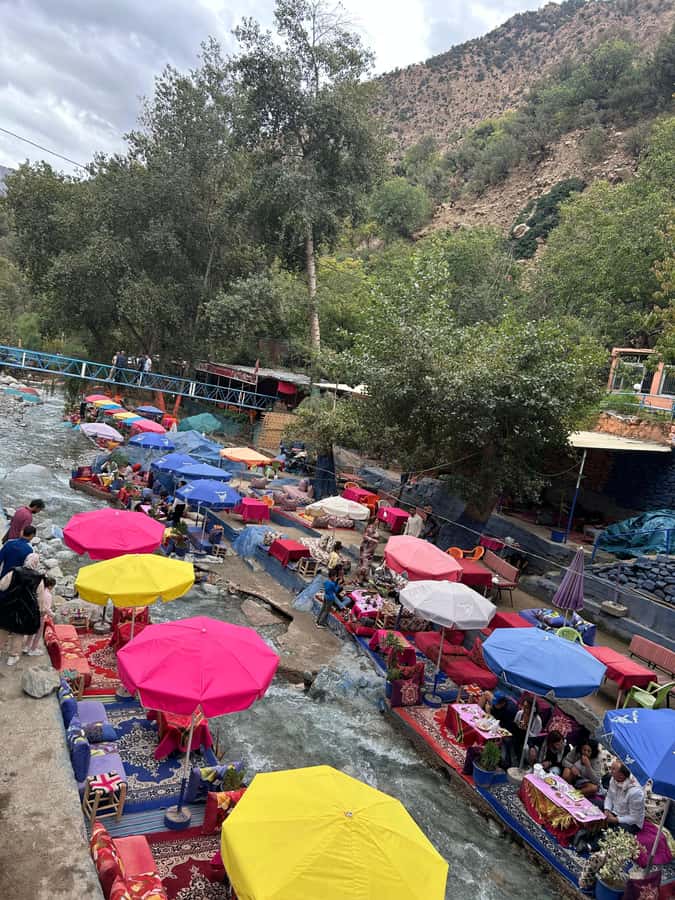 Ourika Valley Day Trip from Marrakech with Guide & Lunch - Learning about argan oil and local plants