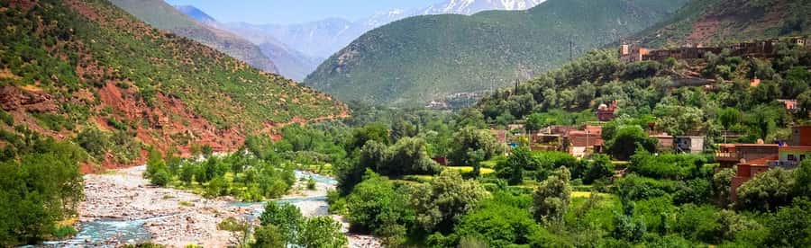 Ourika Valley with Atlas Mountains Day Trip from Marrakech - Argan oil, mint tea, and the Berber home