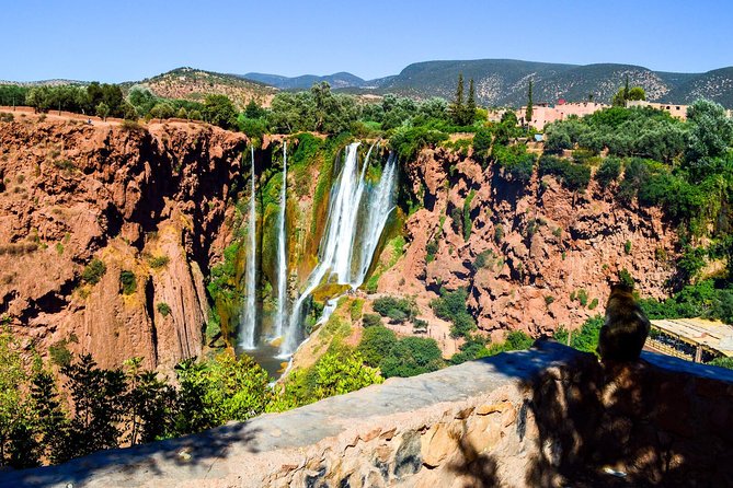 Ouzoud Waterfalls Guided Hike and Boat Trip from Marrakech - Who should book this Ouzoud day trip?