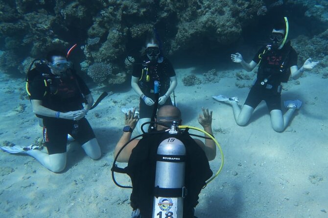 PADI Open Water Diver Course - Learning scuba in Sharm el Sheikh