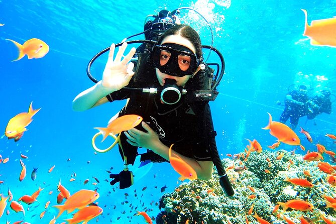 PADI Open Water Diver Course - Five confined-water sessions before the Red Sea