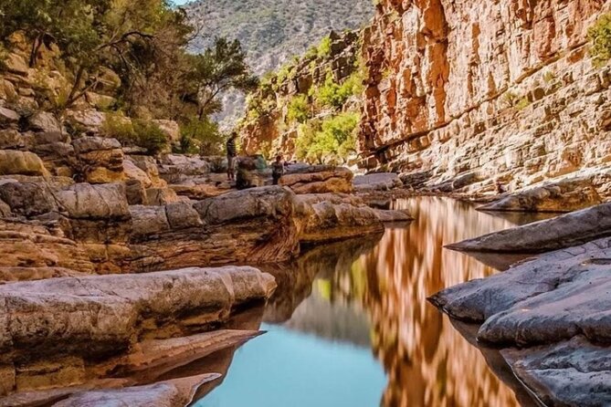 Paradise Valley and Atlas Mountains Adventure in Agadir - Mint tea, honey, and the botanic garden