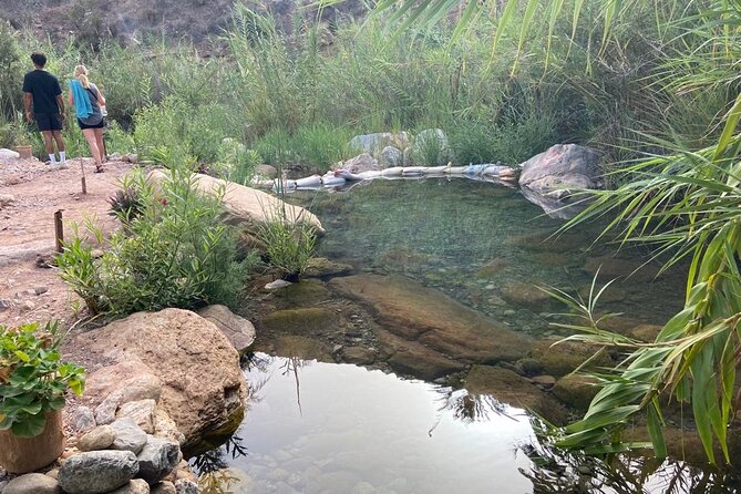 Paradise Valley and Atlas Mountains Adventure in Agadir - A guide who shapes the day