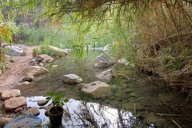 Paradise Valley and Atlas Mountains Adventure in Agadir - Timing, cancellation, and practical details
