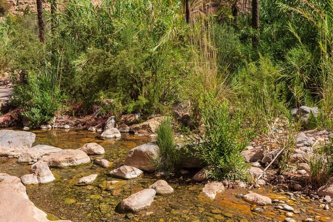 Paradise Valley & Atlas Mountains Adventure with optional LUNCH - Walking down to the pools