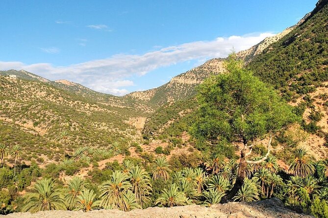 Paradise Valley & Atlas Mountains Adventure with optional LUNCH - Argan oil, gardens, and the small details that add value