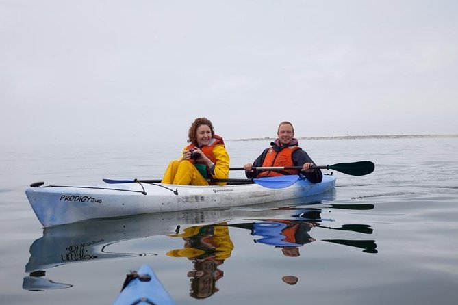 Pelican Point Kayaking Half-Day Tour - The 4x4 ride across Walvis Bay
