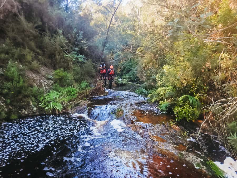 Plettenberg Bay: Canyoning Trip - Why this canyoning trip is worth your time