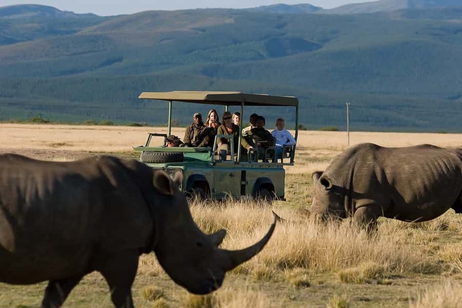 Plettenberg Bay Game Reserve: 2-Hour Game Drive - What you may see on the drive