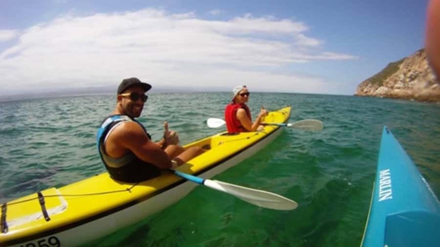 Plettenberg Bay: Guided Sea Kayak Tour - Two hours among mountains and open water