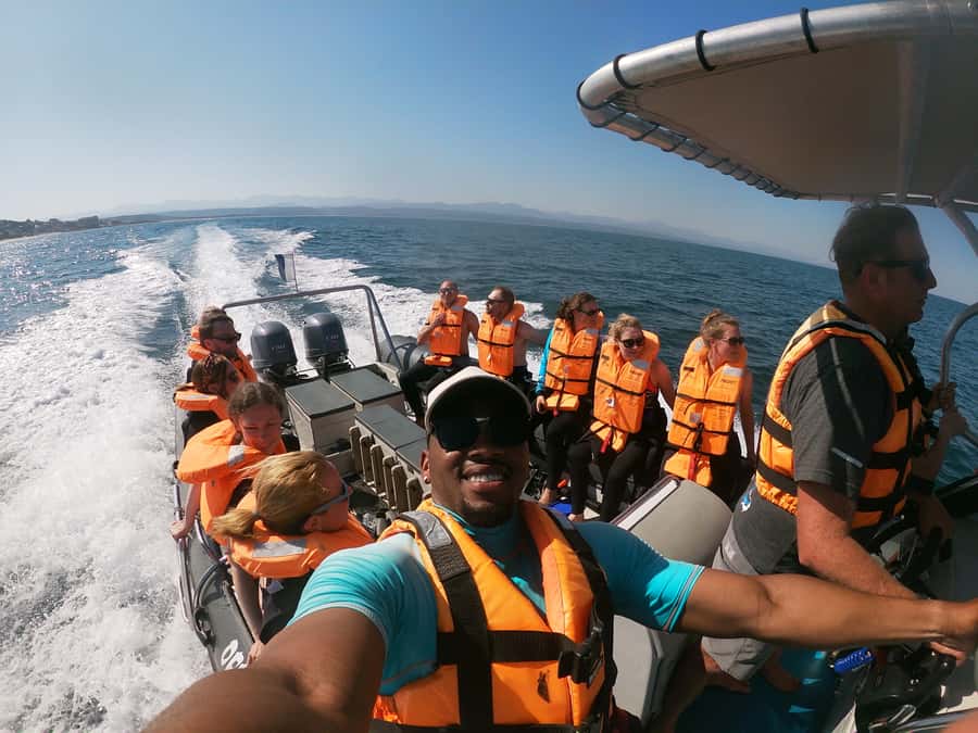 Plettenberg Bay: Seal Colony Viewing Excursion - Key points at a glance