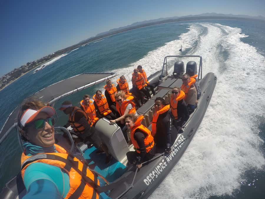 Plettenberg Bay: Seal Colony Viewing Excursion - What the guides add