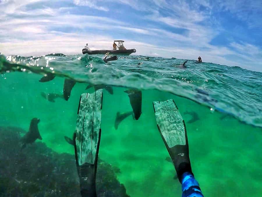 Plettenberg Bay: Swim with Seals - Meeting at Central Beach and Getting Ready