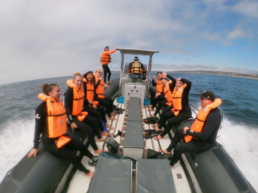 Plettenberg Bay: Swim with Seals - FAQ