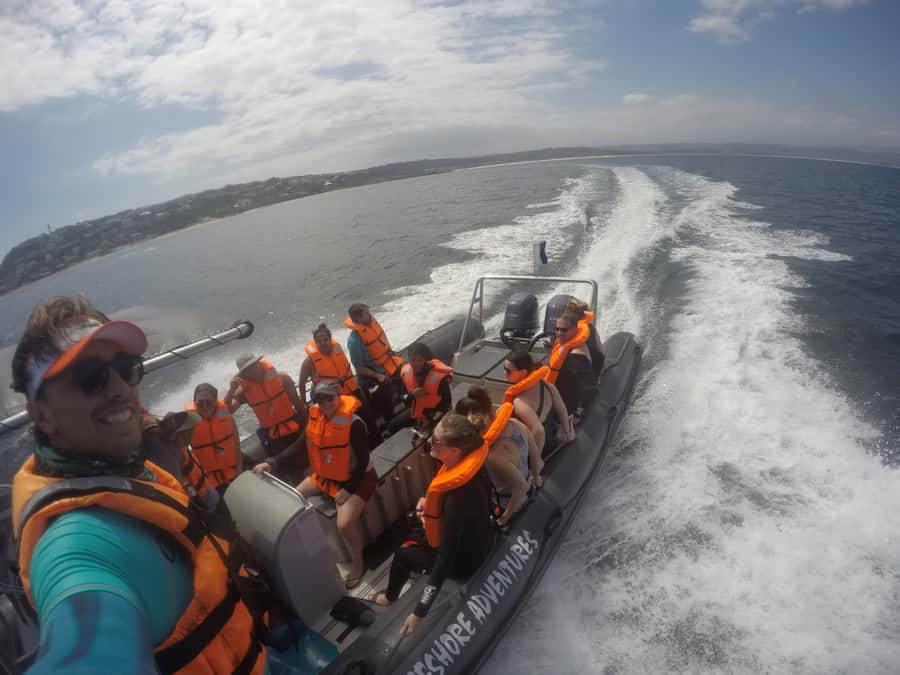 Plettenberg Bay: Swim with Seals - Booking Advice for a Better Day