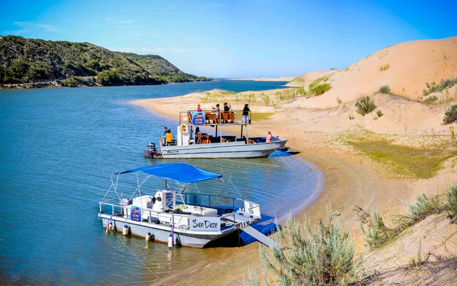 Port Elizabeth: River Cruise on the Sundays River - Setting out from A Taste of Africa in Colchester