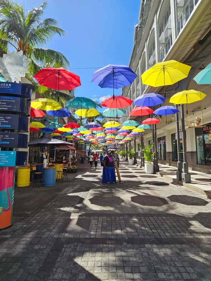 Port Louis: Mont Choisy, Botanical Garden, and Church Tour - Port Louis: market flavors, harbor views, and The Citadel