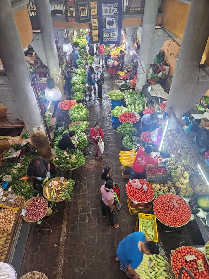 Port Louis: Mont Choisy, Botanical Garden, and Church Tour - Food, shopping, and possible route changes