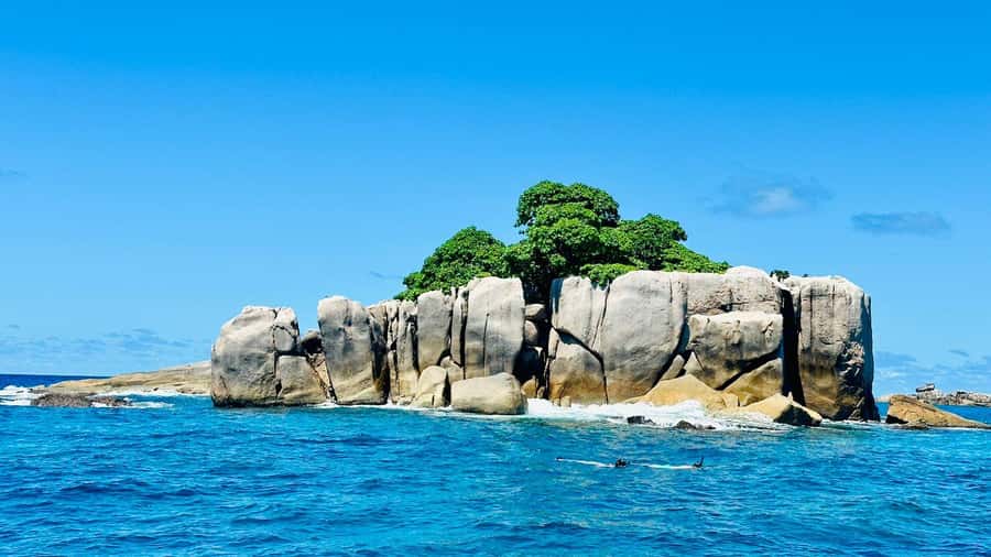 Praslin: Curieuse & St-Pierre Boat Adventure with Snorkeling - The Curieuse walk, from mangroves to Anse Jose