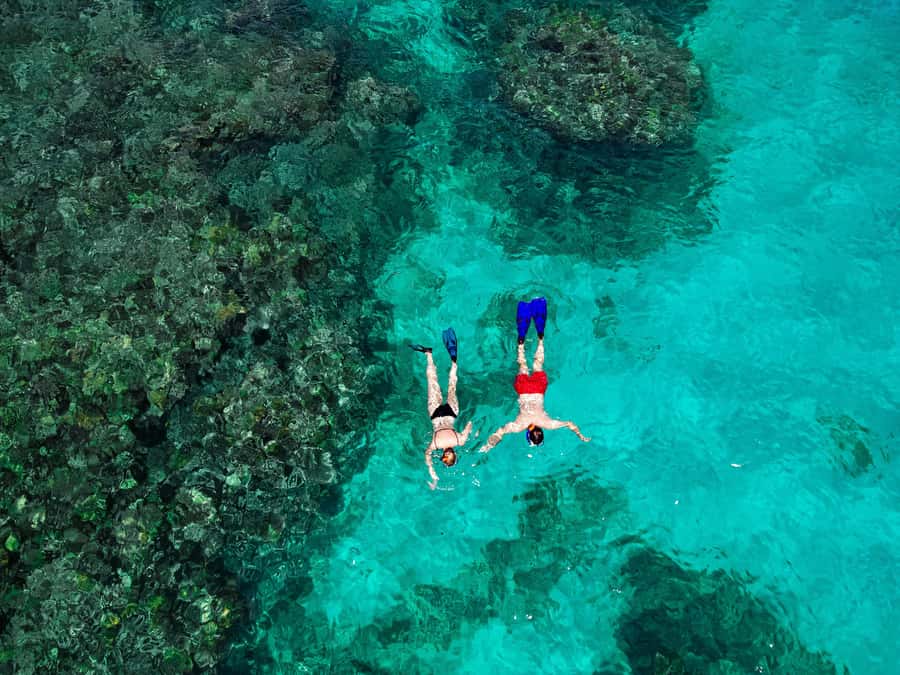 Praslin: Curieuse & St. Pierre Full-Day Boat Trip with Lunch - Why this seven-hour boat day works so well