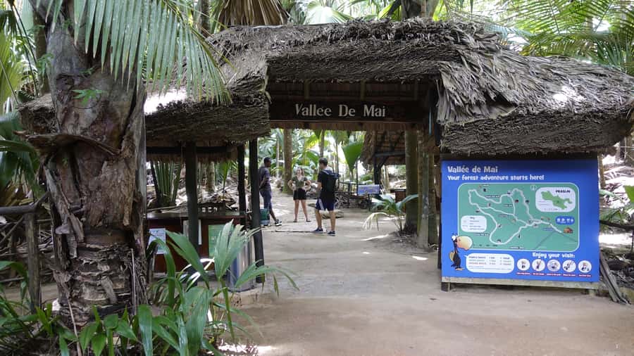 Praslin: Vallée de Mai and Anse Lazio Beach Full-day Tour - Why this Praslin day works so well