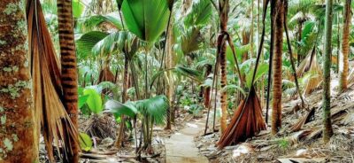Vallée de Mai and Anse Lazio Beach Full-day Tour