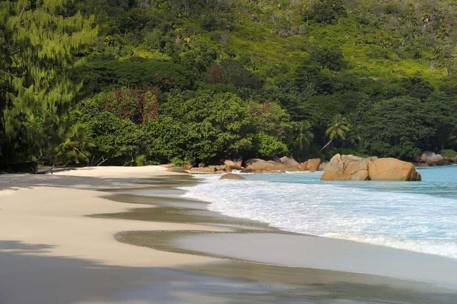 Praslin: Vallée de Mai and Anse Lazio Beach Full-day Tour - What to bring for the 7.5-hour outing
