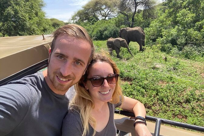 Private 6-Day Tarangire Manyara Crater and Serengeti with Mid-Range Lodges - Day 4: Give the Serengeti a full day