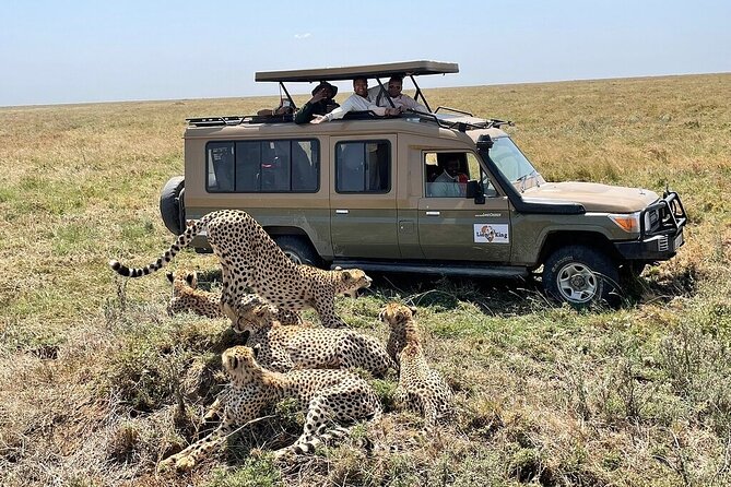 Private 6-Day Tarangire Manyara Crater and Serengeti with Mid-Range Lodges - What mid-range lodge comfort really means here