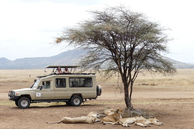 Private 6-Day Tarangire Manyara Crater and Serengeti with Mid-Range Lodges - Day 1: Arrive in Arusha and get your bearings