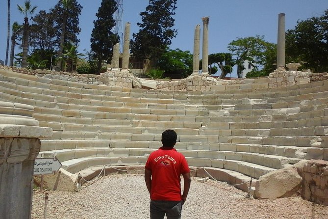 Private Alexandria Highlights Guided Day Tour - Why this private Alexandria tour works well
