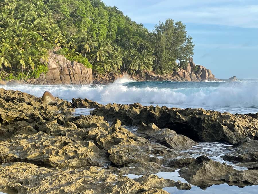 Private Customized Tour: Explore Mahe beyond the ordinary - Anse Intendance for the beach portion