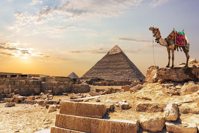 Private Day Pyramids and Grand Egyptian Museum with free camel - Who will get the most from this tour