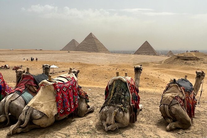 Private Day Pyramids and Grand Egyptian Museum with free camel - Should you book this Cairo day tour?