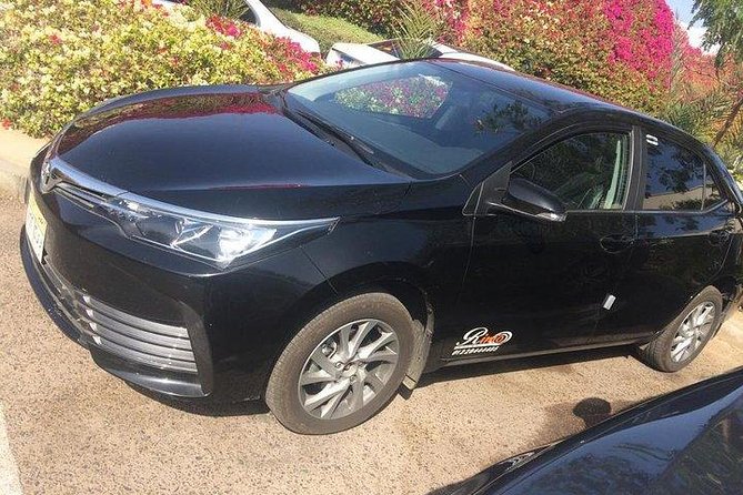 Private Departure Transfer from Cairo City to Cairo Airport - Who should book this Cairo airport transfer?