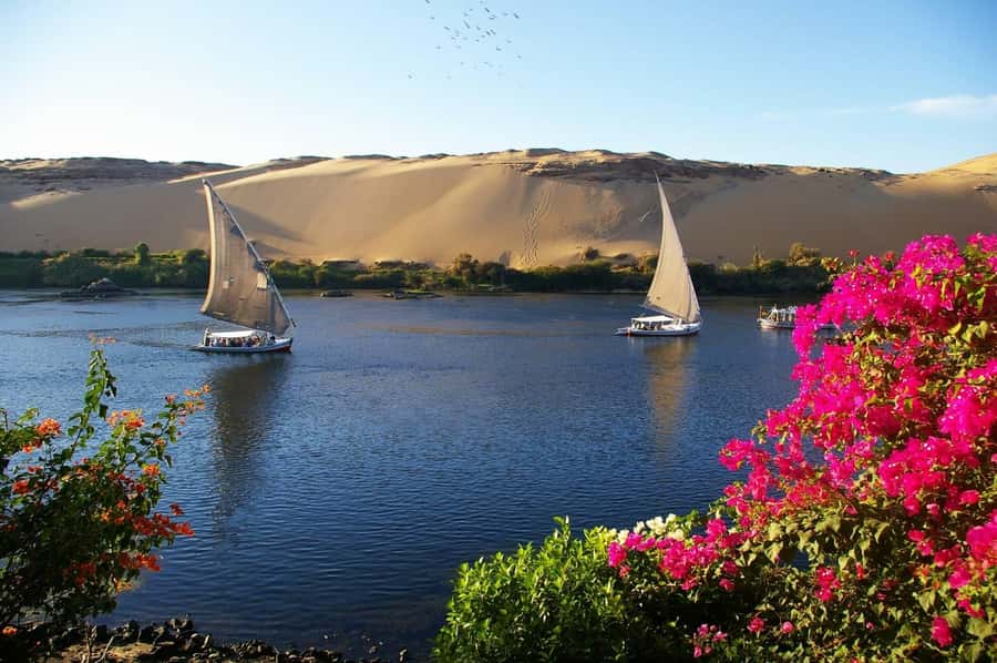 Private Felucca Ride on the Nile River - Guides who add more than directions