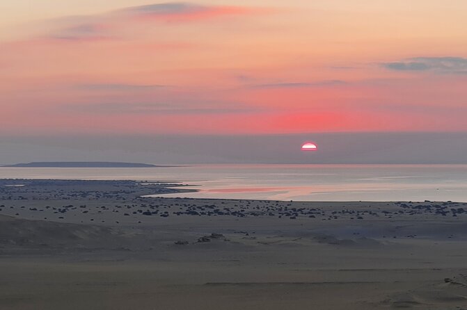 Private tour El Fayoum Oasis and Wadi Rayan waterfall from Cairo - Lake Qarun: birds, farms, and a basic boat ride