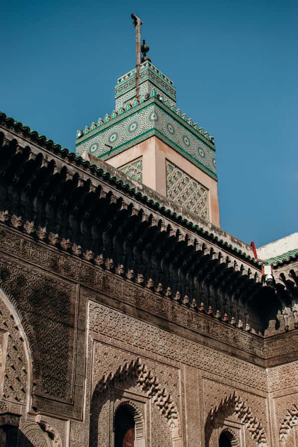 Private Tour –In Old Medina of Fez with a Professional Guide - Who should book this Fez walk?