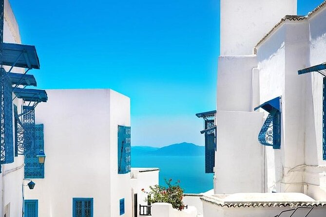 Private tour: Medina,Carthage ,Sidi Bou Said, Bardo Museum+lunch - Key points at a glance