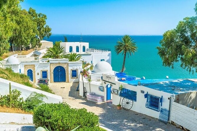 Private tour: Medina,Carthage ,Sidi Bou Said, Bardo Museum+lunch - Why this private Tunis tour works well in one day