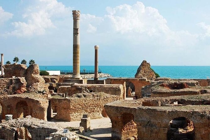 Private tour: Medina,Carthage ,Sidi Bou Said, Bardo Museum+lunch - What the guides and drivers add