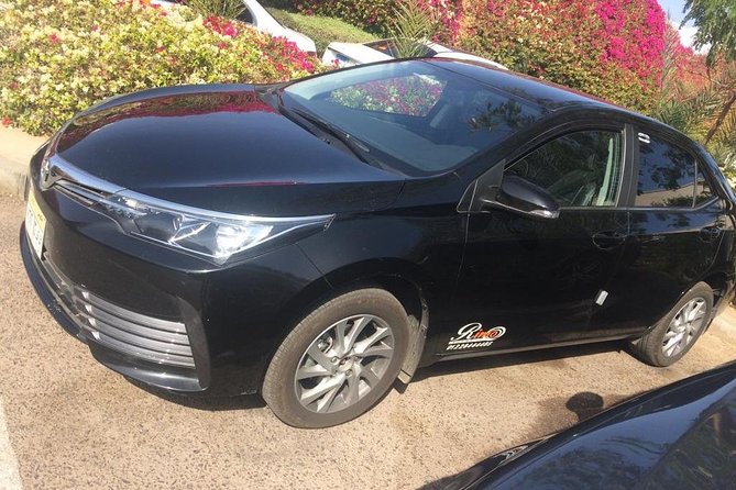 Private Transfer from Cairo Airport - The best part: help after a long or difficult flight