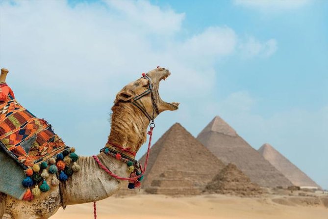 Private ViP all-inclusive Giza Pyramids,Sphinx,Inside Pyramid - Guides, photo help, and the human side of the day